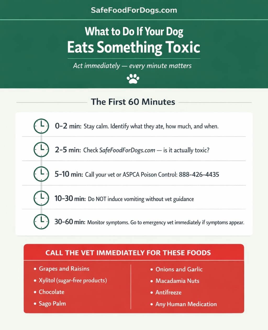 What to do if your dog eats something toxic — emergency infographic by SafeFoodForDogs