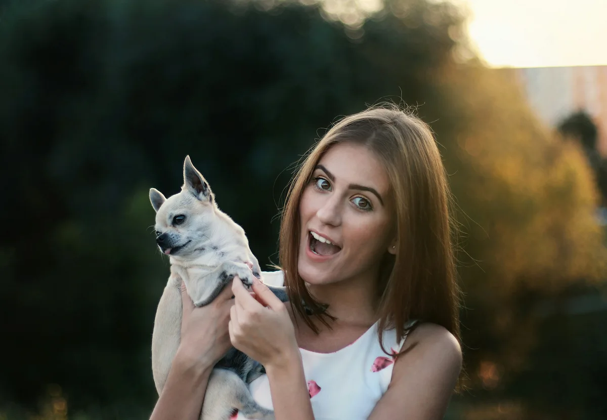 Best Pet Insurance for Dogs 2026 - Top Plans Compared — featured image