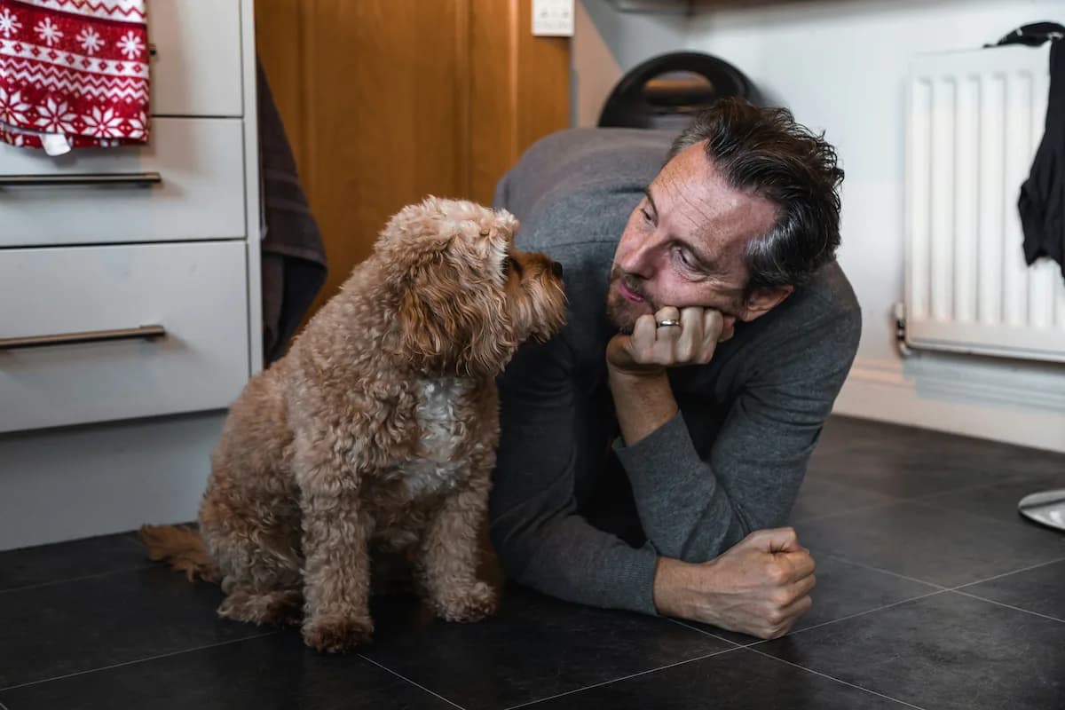 Dog Poisoning Symptoms - Complete Guide for Dog Owners
— featured image